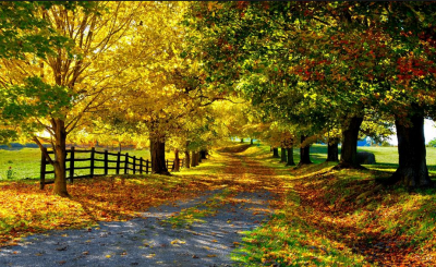 Automne 2